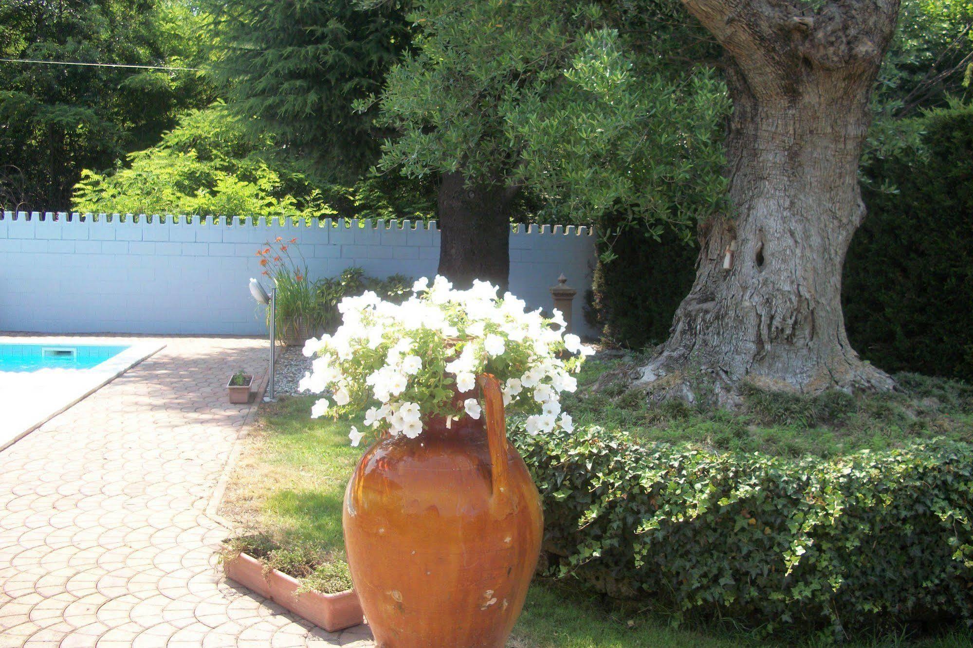 B&B Southitaly 부스토아르시치오 외부 사진